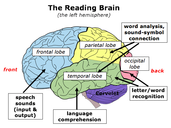 Learning disability online courses