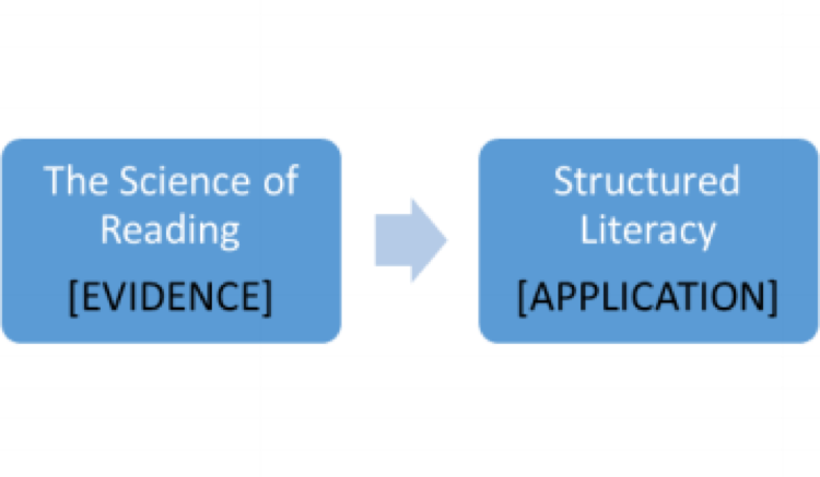 Learning disability courses